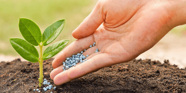 Pertanian Organik Solusi Pertanian Modern5